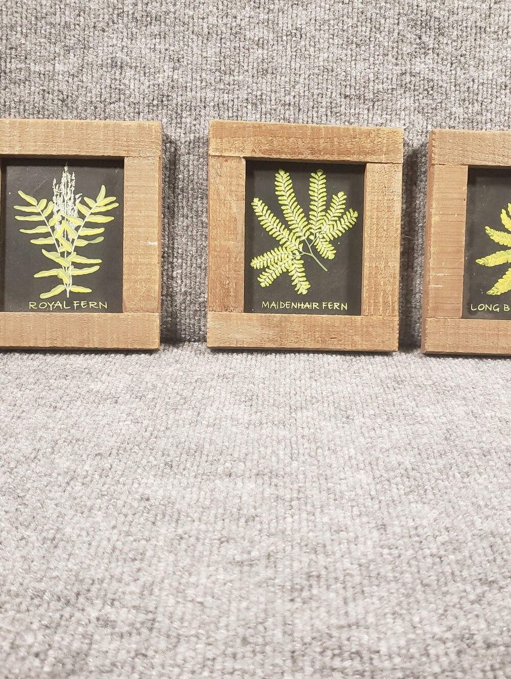 Set Of 3 Painted Fern Plants With Wood Frames- EUC